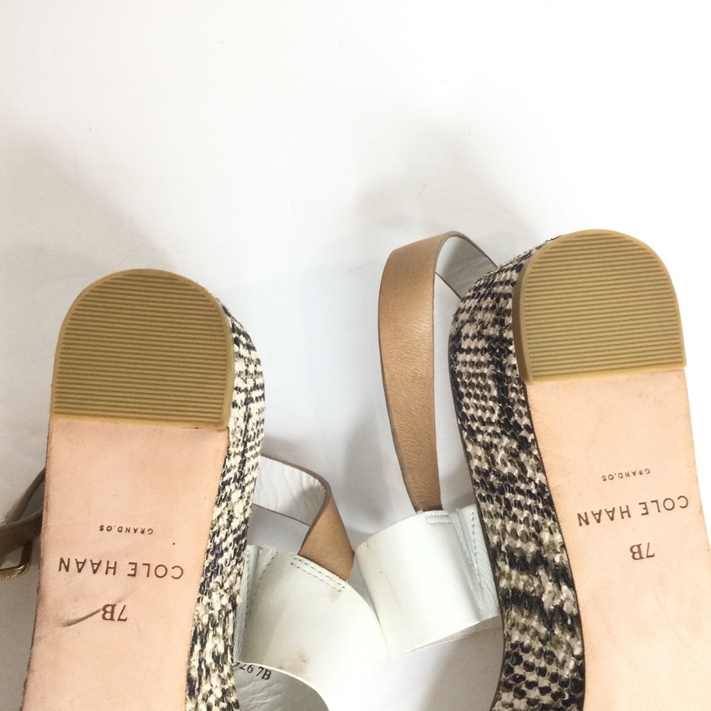 Cole Hahn Python Shoes - Picture 7 of 8
